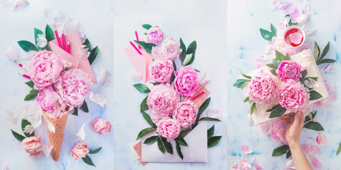Cool still life triptychs featuring roses and stationary - spring photography ideas