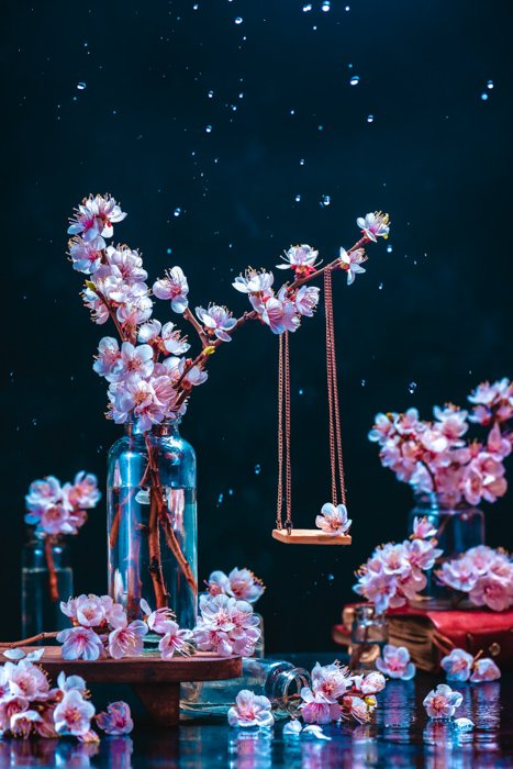 Cool still life featuring cherry blossoms - spring photography ideas