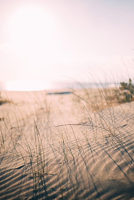 Serene low angle photo of a sandy beach on a clear day - beautiful photography principles