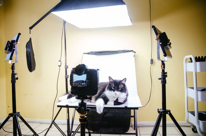 10 Timeless Tips for Making a DIY Photo Studio - 80