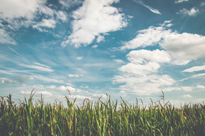 landscape photography sky