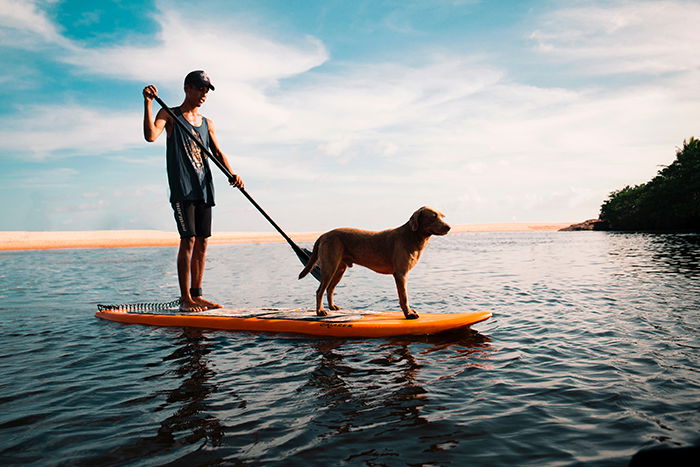 Stunning shot of a man paddling a canoe with a dog onboard - lifestyle portraits