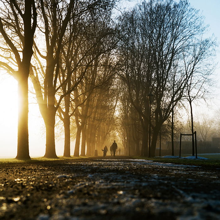 Stunning shot of the silhouettes of people walking through trees in evening - best quality of light for the day