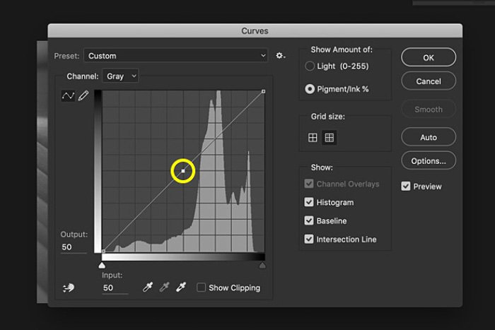 A screenshot of how to convert an image to black and white on Photoshop
