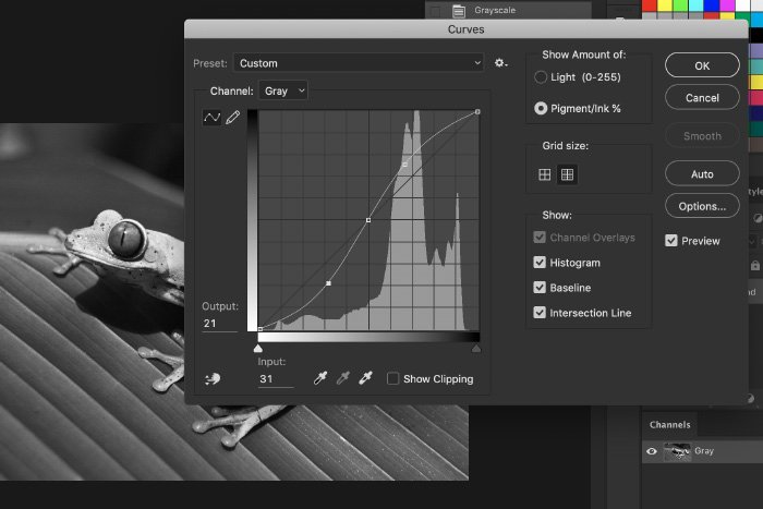 A screenshot of how to convert an image to black and white on Photoshop