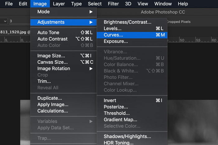 A screenshot of how to convert an image to black and white on Photoshop