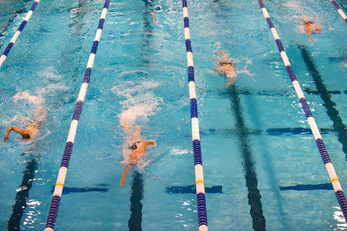 Overhead action shot of swimmers racing in a pool - how to take swimming pictures