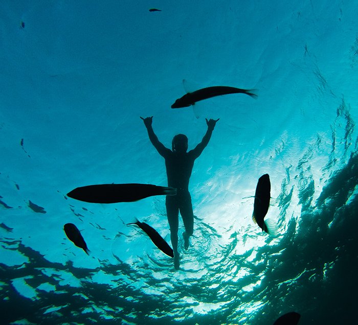 Atmospheric underwater photo of a swimmer and fish