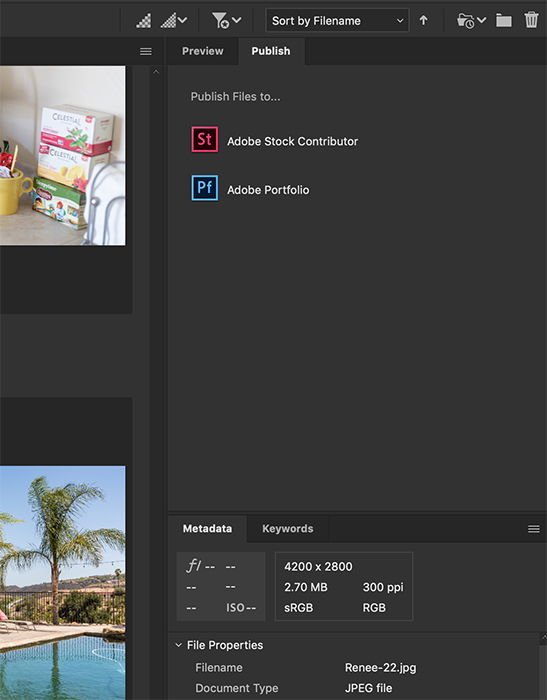 Adobe Bridge allows you to quickly and easily publish files to Adobe Stock or Portfolio.