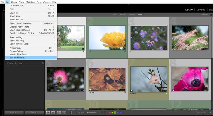 a screenshot of how to add lightroom watermark before exporting
