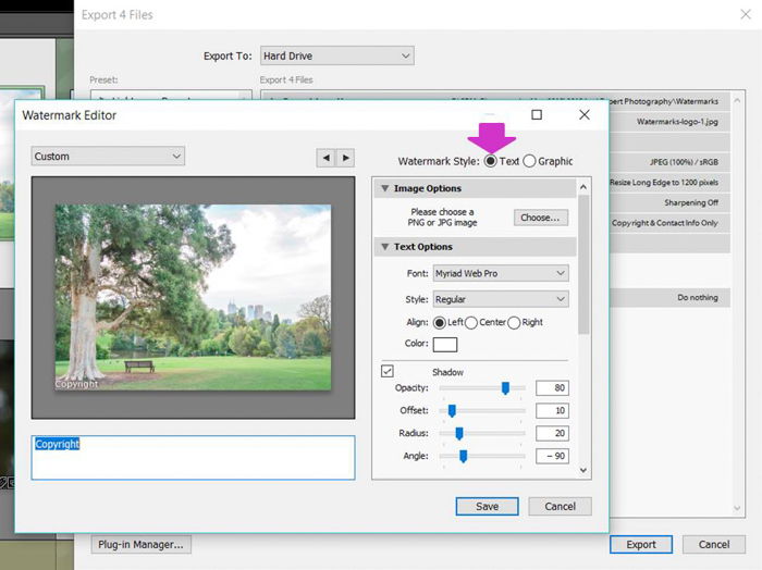 a screenshot showing how to add a watermark in lightroom - text option in the watermark style