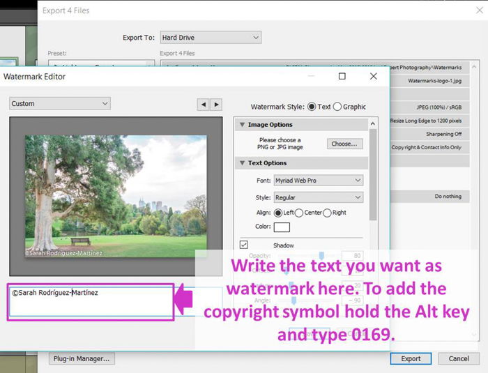 a screenshot showing how to add a watermark in lightroom - text option in the watermark style