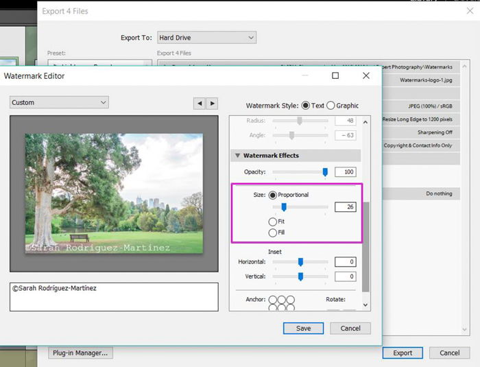 a screenshot showing how to add a watermark in lightroom - adjust the size