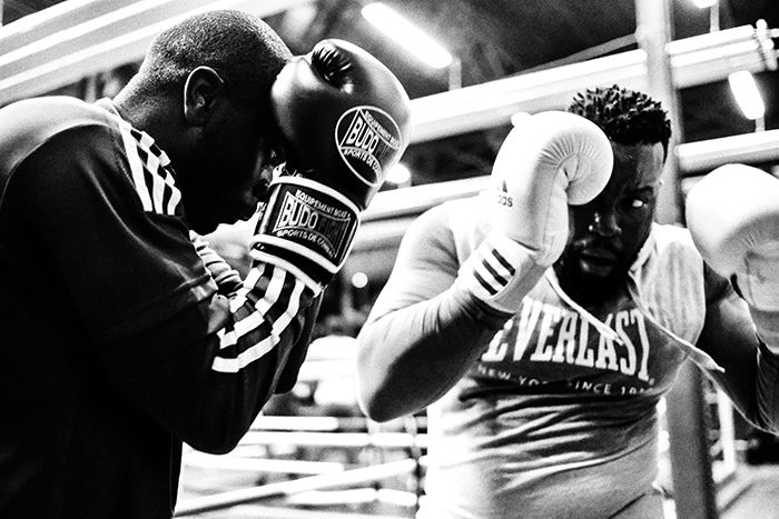 montone boxing picture of two fighters in the ring