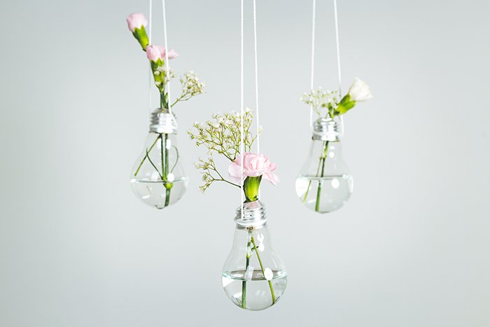 three lightbulbs with water and flowers inside hanging in front of a white background 