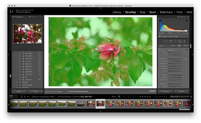 A screenshot showing how to use the Lightroom Radial Filter Tool