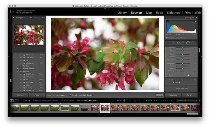 A screenshot showing how to use the Lightroom Radial Filter Tool