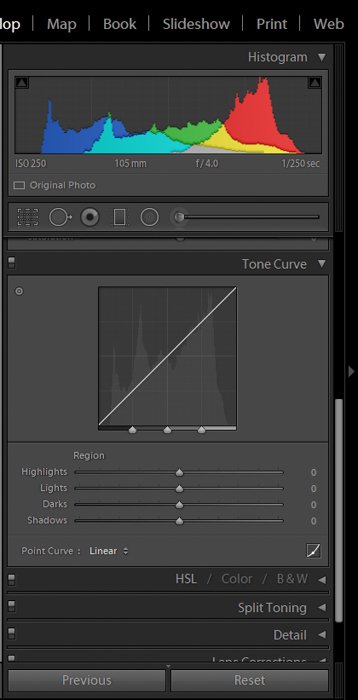 a screenshot showing how to post process macro photography using tone curve in lightroom