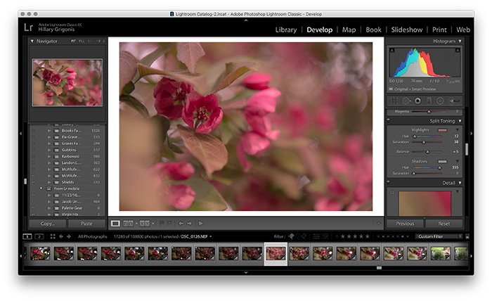 A screenshot showing how to use split toning in Lightroom