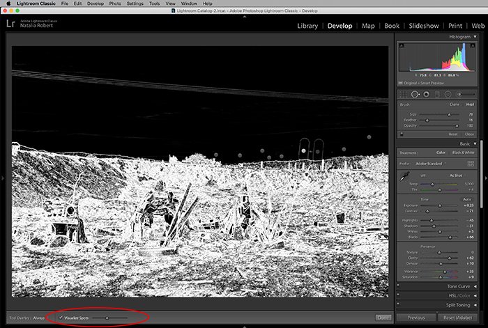 A screenshot showing how to use the spot removal tool in Lightroom 