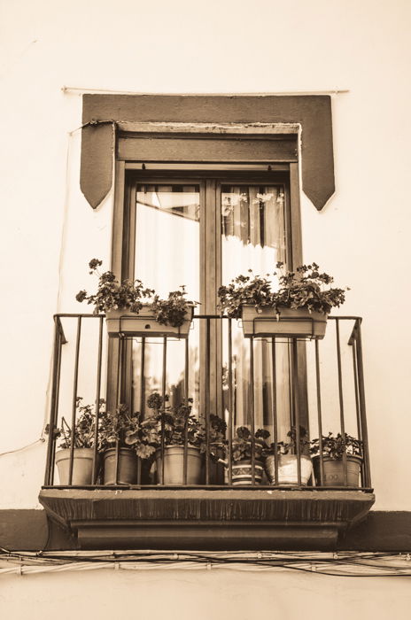 A sepia color image of a windowsill