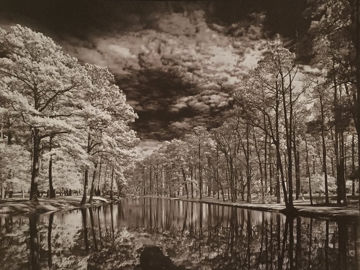 Altrenative photography Van Dyke brown landscape with water and trees