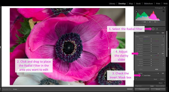 A screenshot showing how to modify the clarity using a radial filter - clarity tool lightroom 