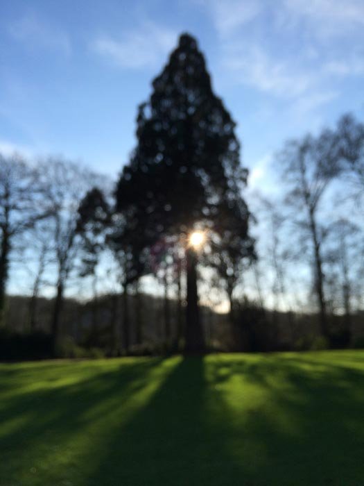 a blurry landscape scene shot with an iPhone 8 camera