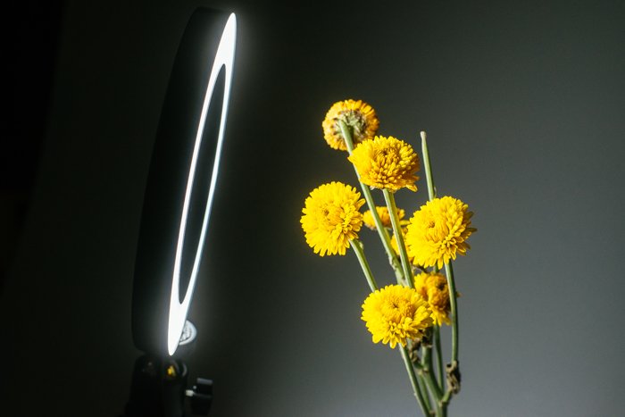 Macro photography lighting setup for taking a bunch of yellow flowers
