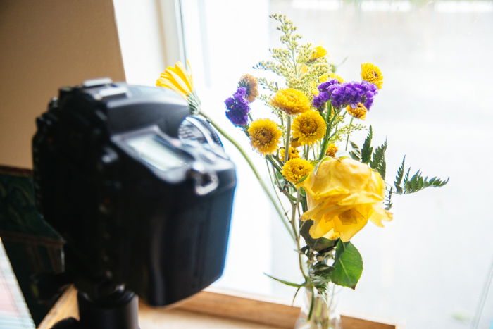 a DSLR set up to take a macro shot of a bunch of flowers on a window sill - macro photography lighting tips 