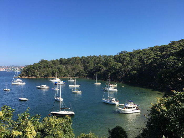 a stunning aerial view of boats near the shore - smartphone landscape photos