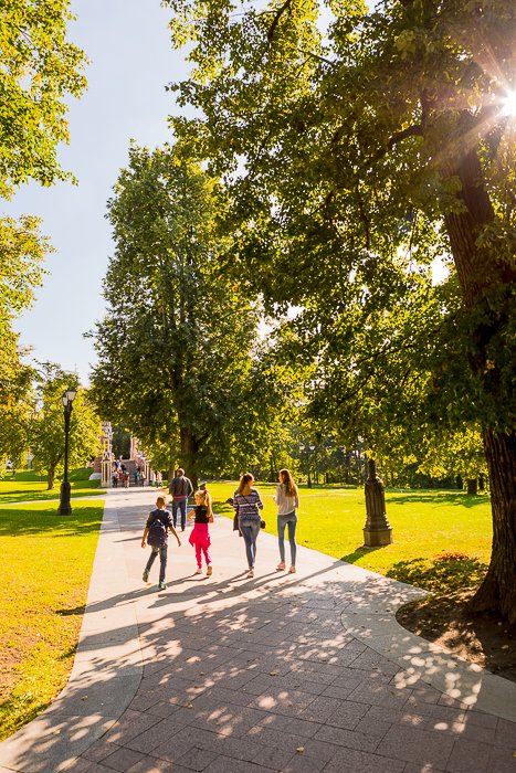 bright and airy photo of people walking through a park with a sunburst effect through the trees