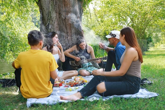 Five friends sitting on a picnic blanket with food in a park smoking and playing guitar