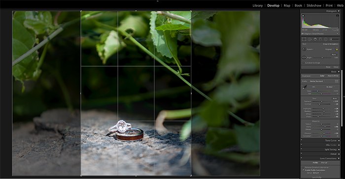 a screenshot showing how to use Lightroom for macro editing