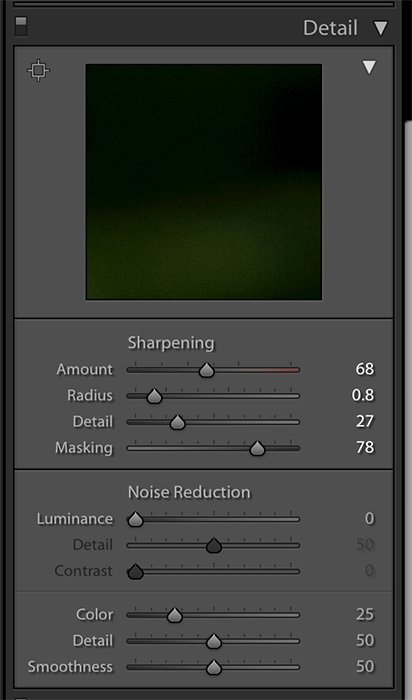 A screenshot showing how to use Lightroom for macro editing