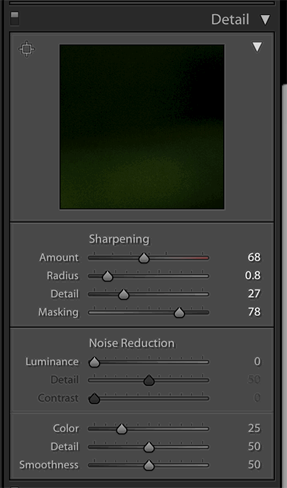 A screenshot showing how to use Lightroom for macro editing