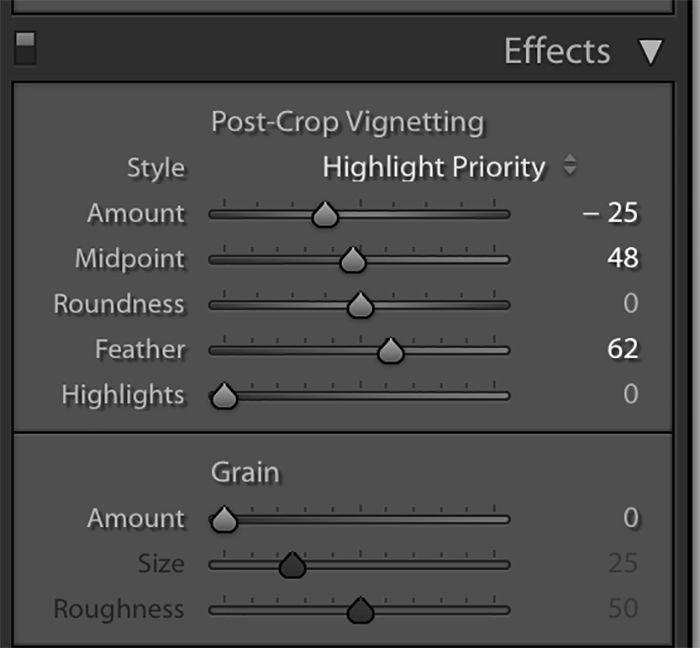 a screenshot showing how to use Lightroom for macro editing