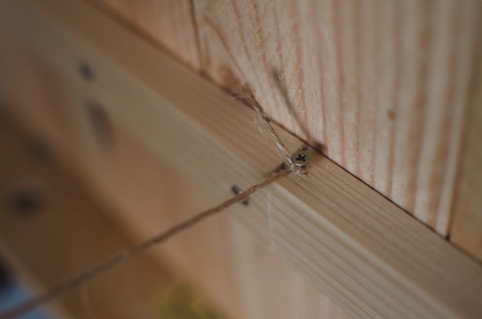 How to Make a Cool DIY Wood Backdrop for Photos - 16