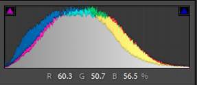 How to Correctly Use the Lightroom Histogram - 67
