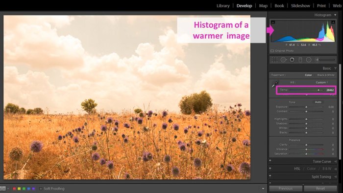 a screenshot of editing a photo using the Lightroom histogram