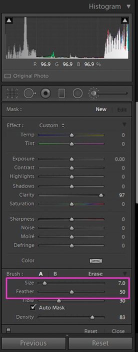A screenshot showing how to use the Lightroom Adjustment Brush Tool