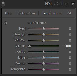 A screenshot showing how to use HSL sliders in Lightroom - luminance slider