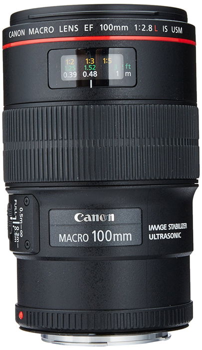 What is a Macro Lens   Full Macro Photography Lens Guide  - 38