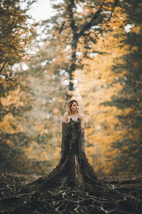 Artistic outdoor portrait of a naked female model posing in a tree trunk 