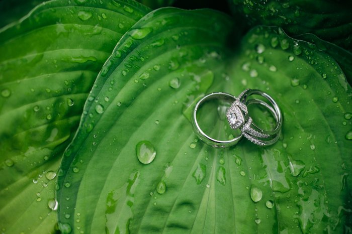 wedding rings resting on a rain covered leaf