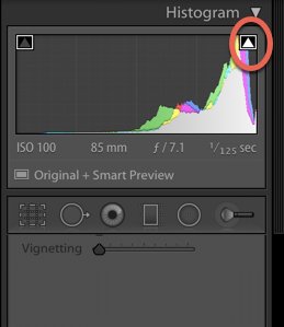 a screenshot showing how to use the histogram in Lightroom - lightroom mistakes