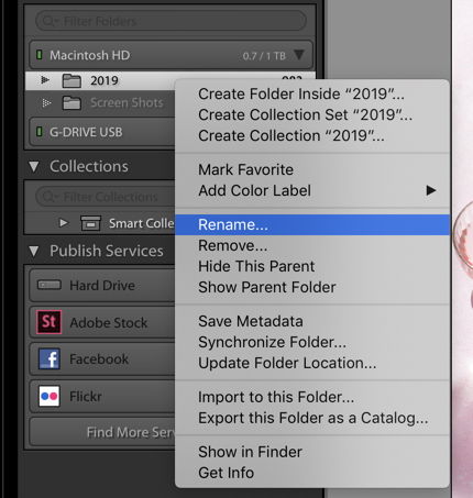 a screenshot showing how to rename or move images in Lightroom - lightroom mistakes