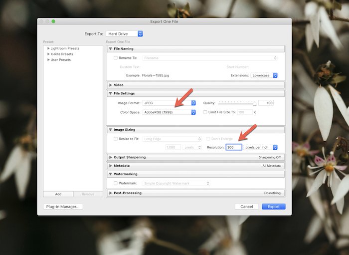 a screenshot showing how to choose settings to print photos