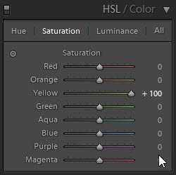 A screenshot showing how to use HSL color sliders in Lightroom