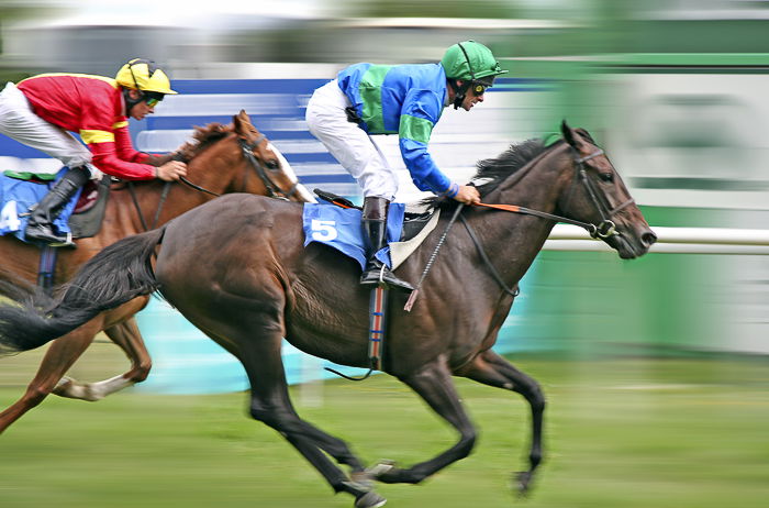 foto nítida de jinetes en una carrera de caballos